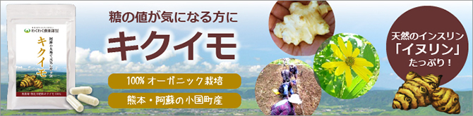 kikuimo_top02